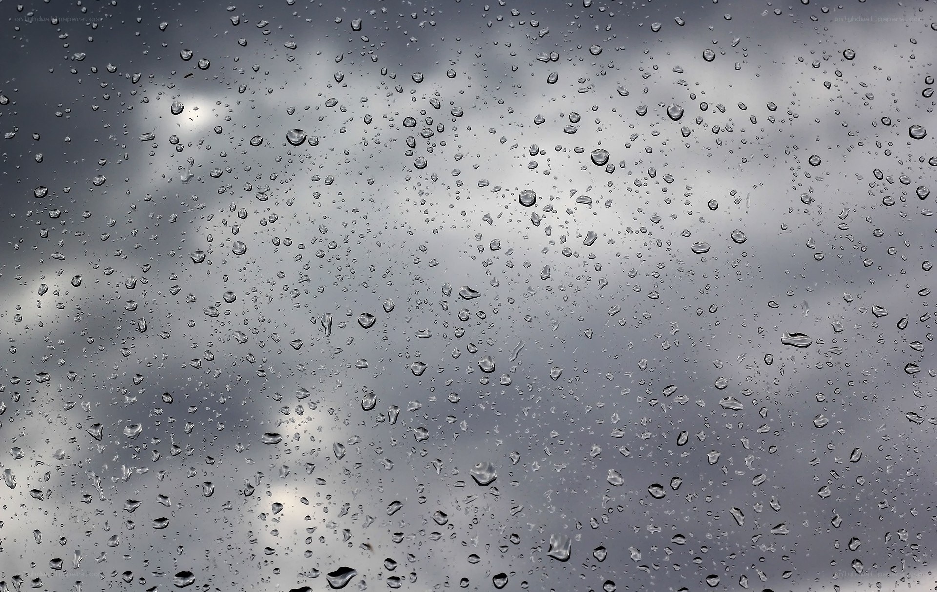 Raindrops on a window