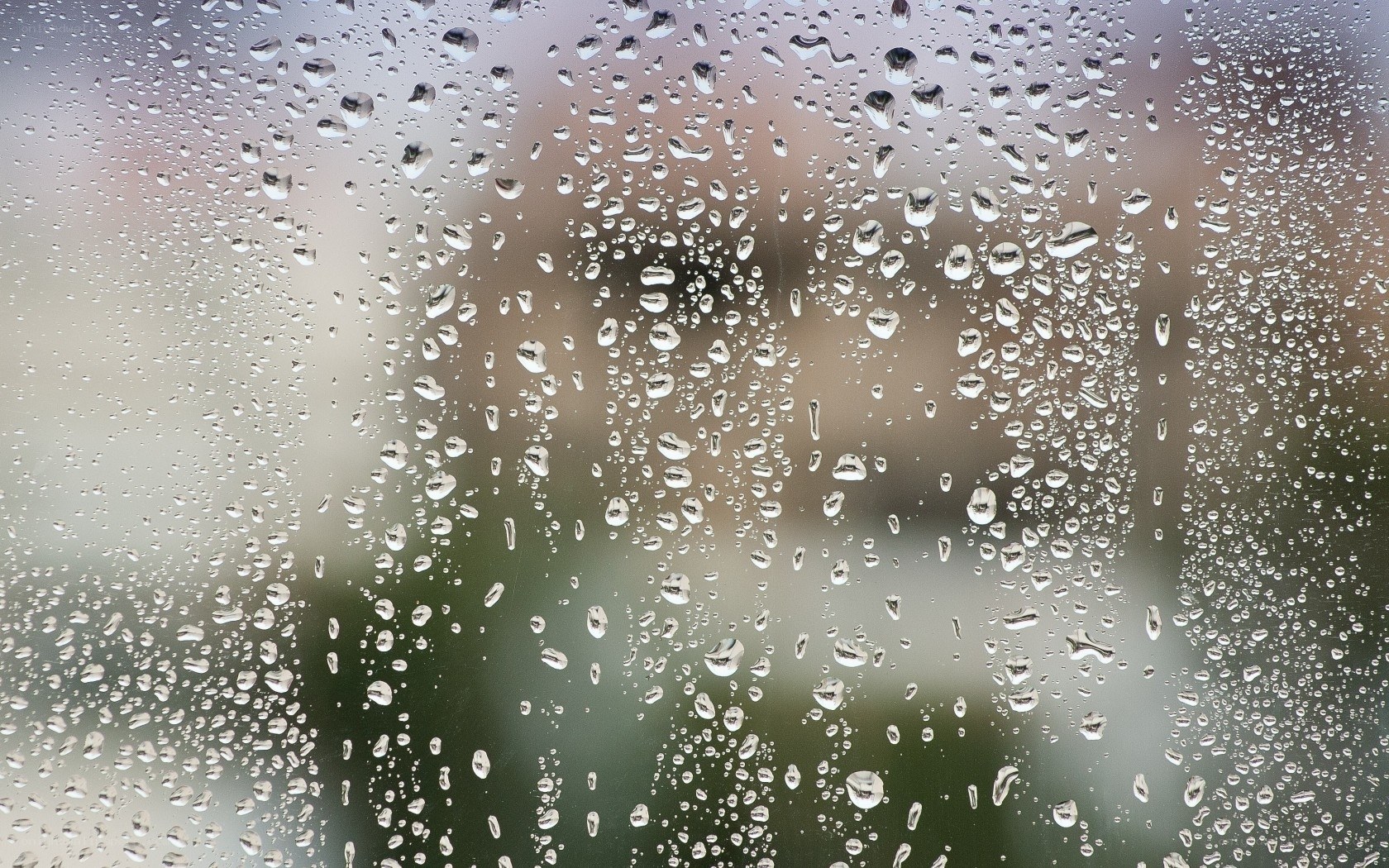 raindrops on a window