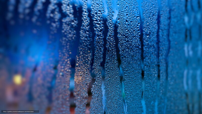 Raindrops on a window