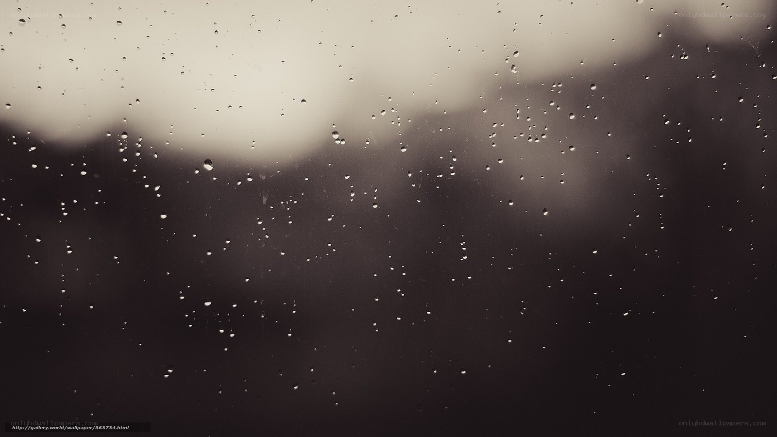 raindrops on a window