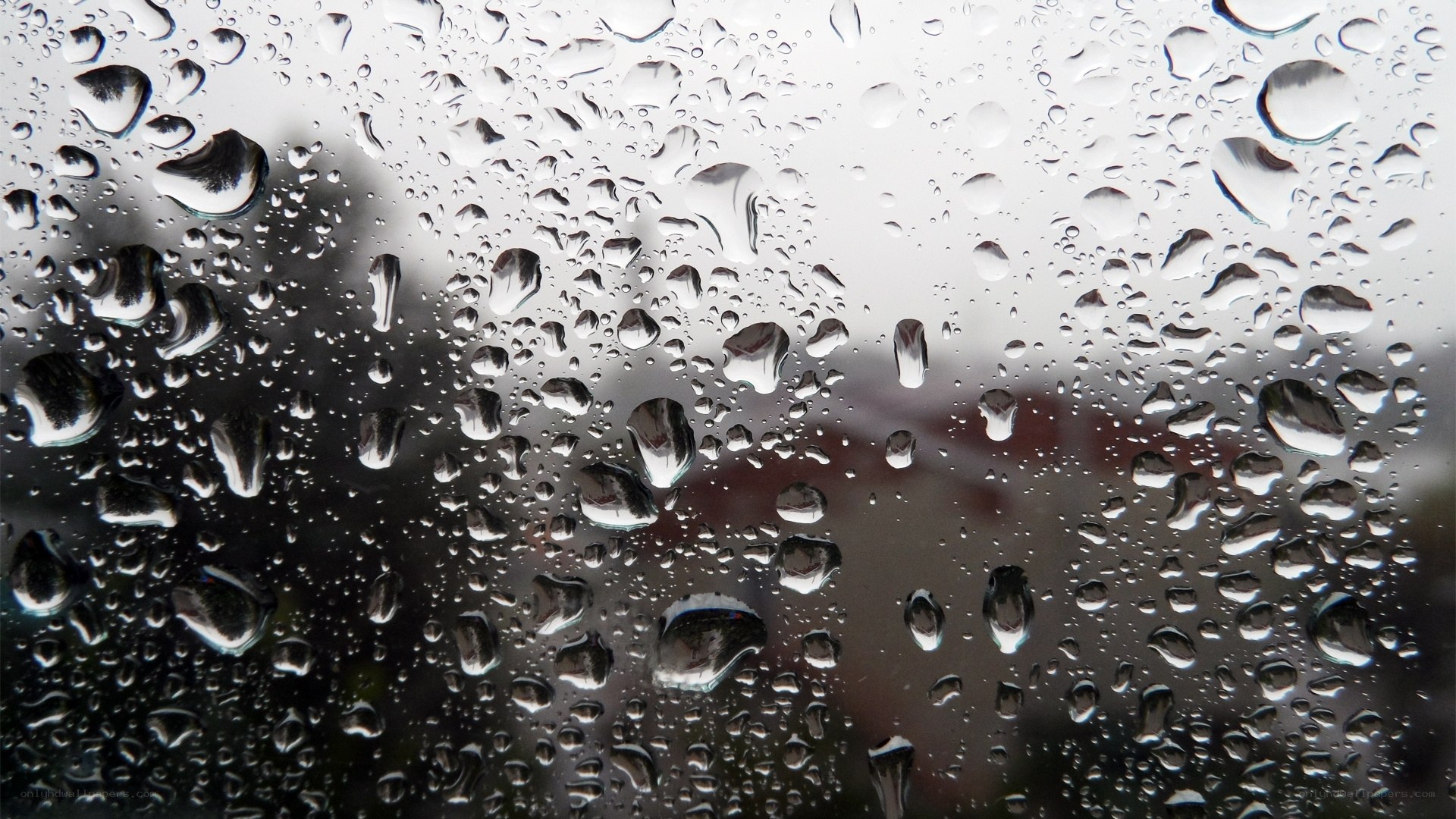 Raindrops on a window