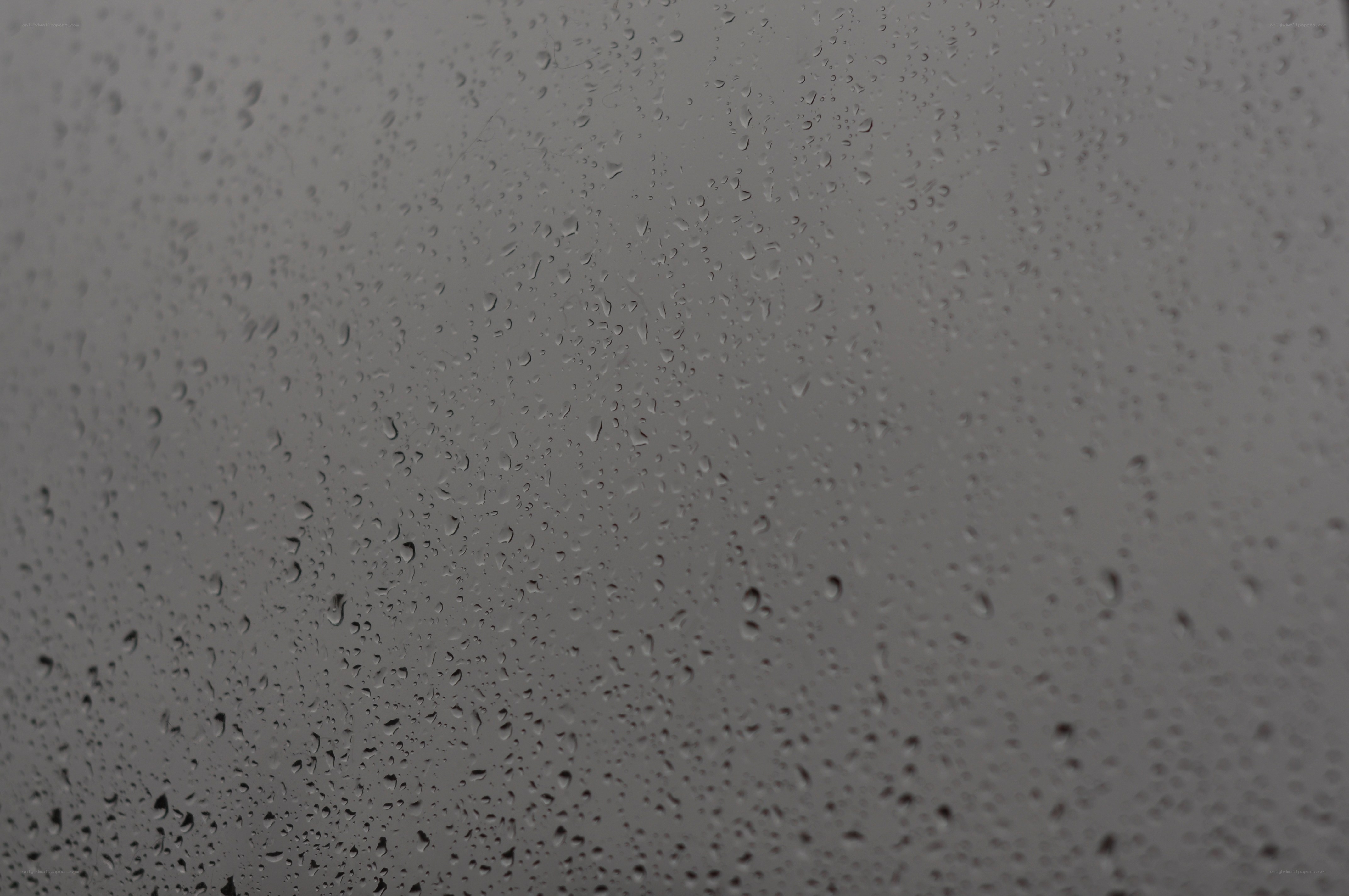 raindrops on a window