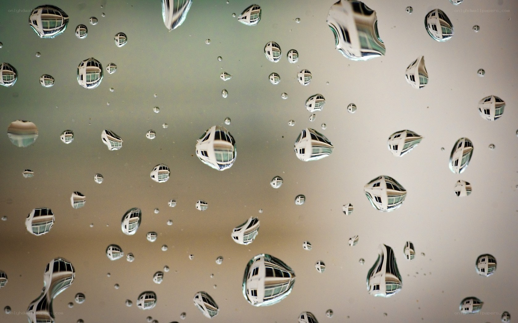 Raindrops on a window