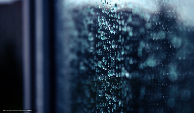 raindrops on a window