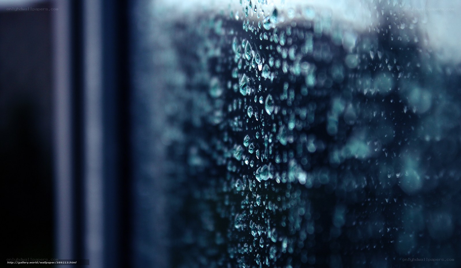 raindrops on a window