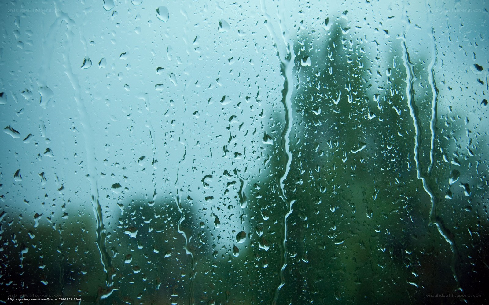Raindrops on a window