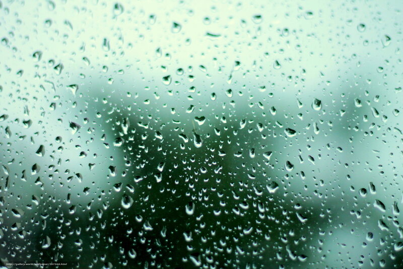 raindrops on a window