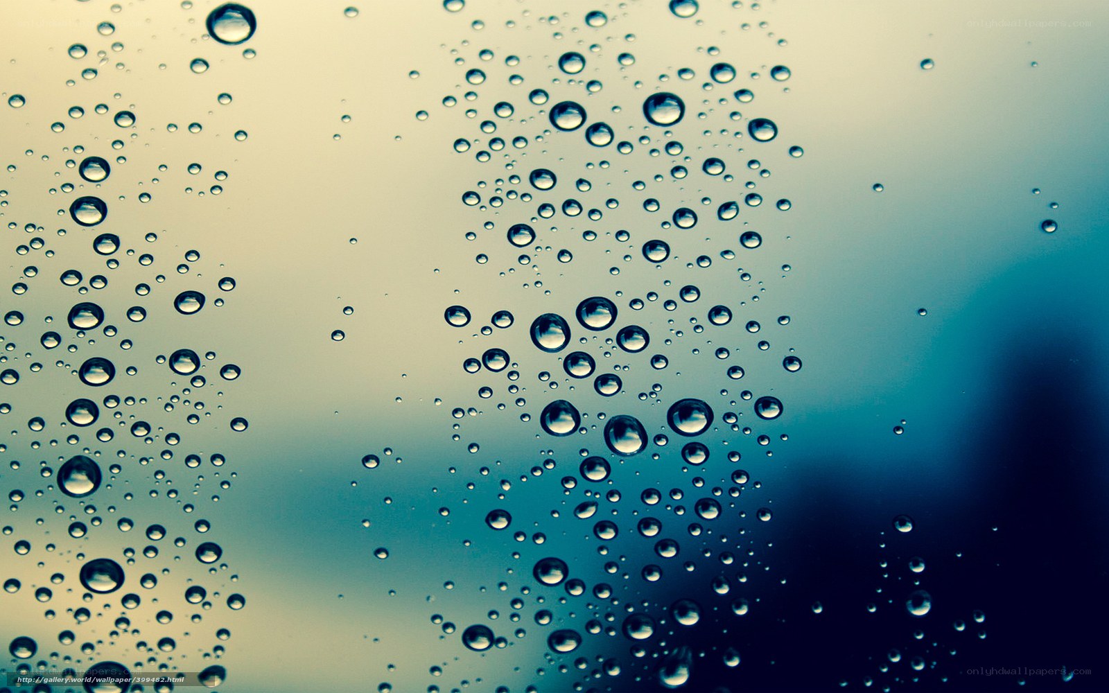 Raindrops on a window