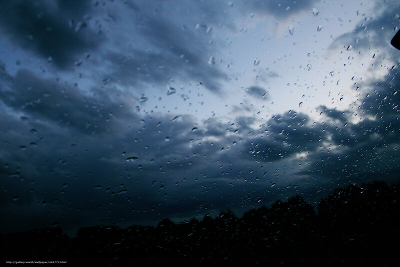 Raindrops on a window
