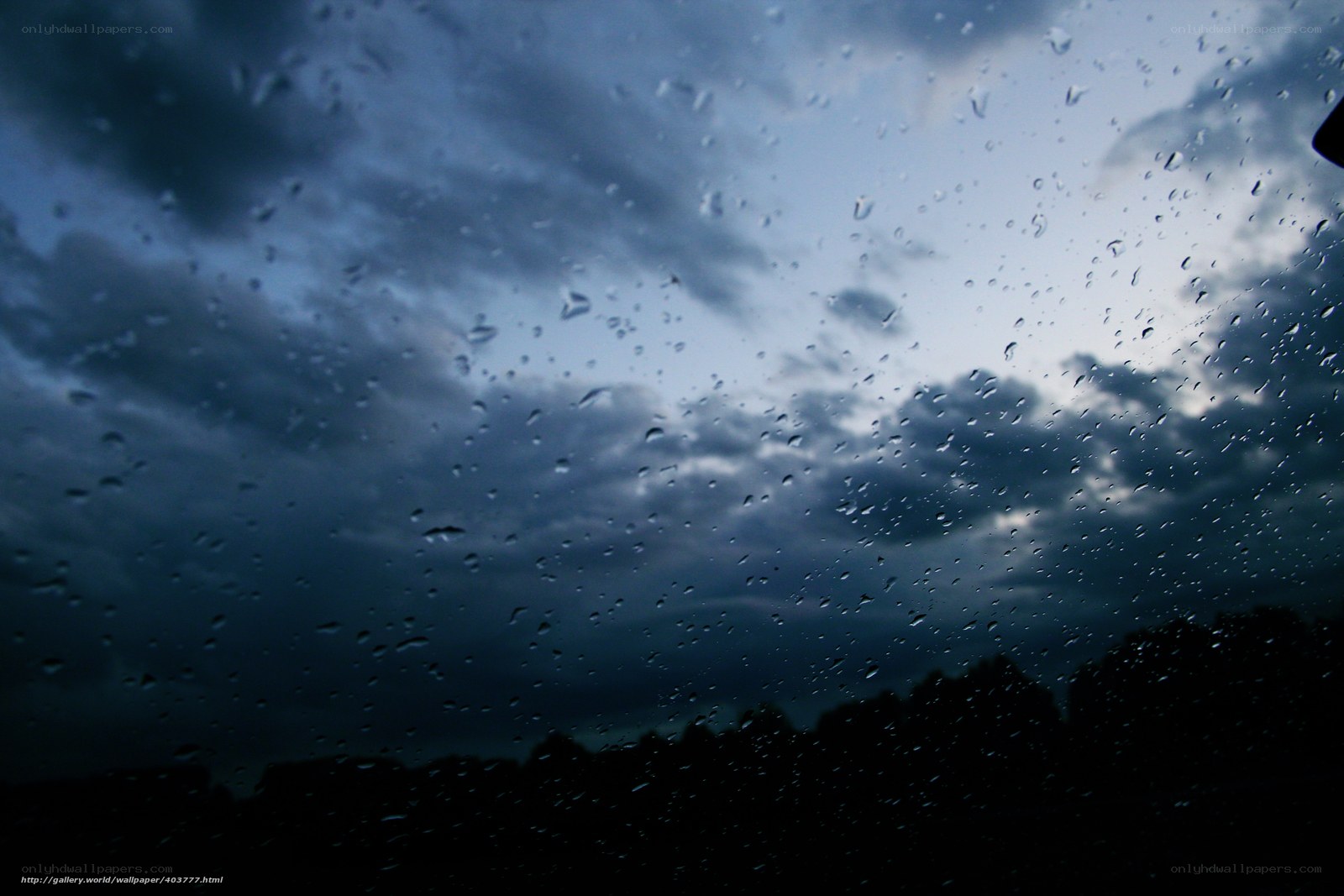Raindrops on a window