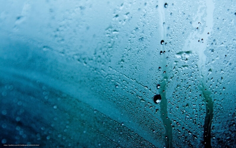 Raindrops on a window