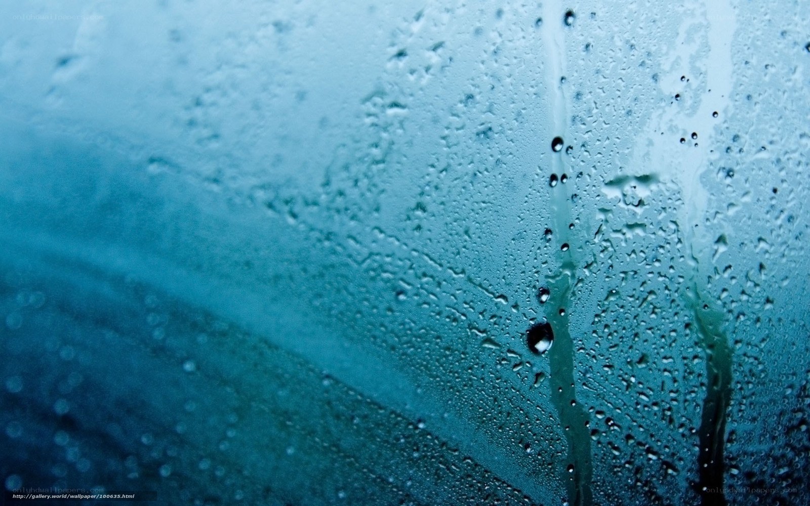 Raindrops on a window
