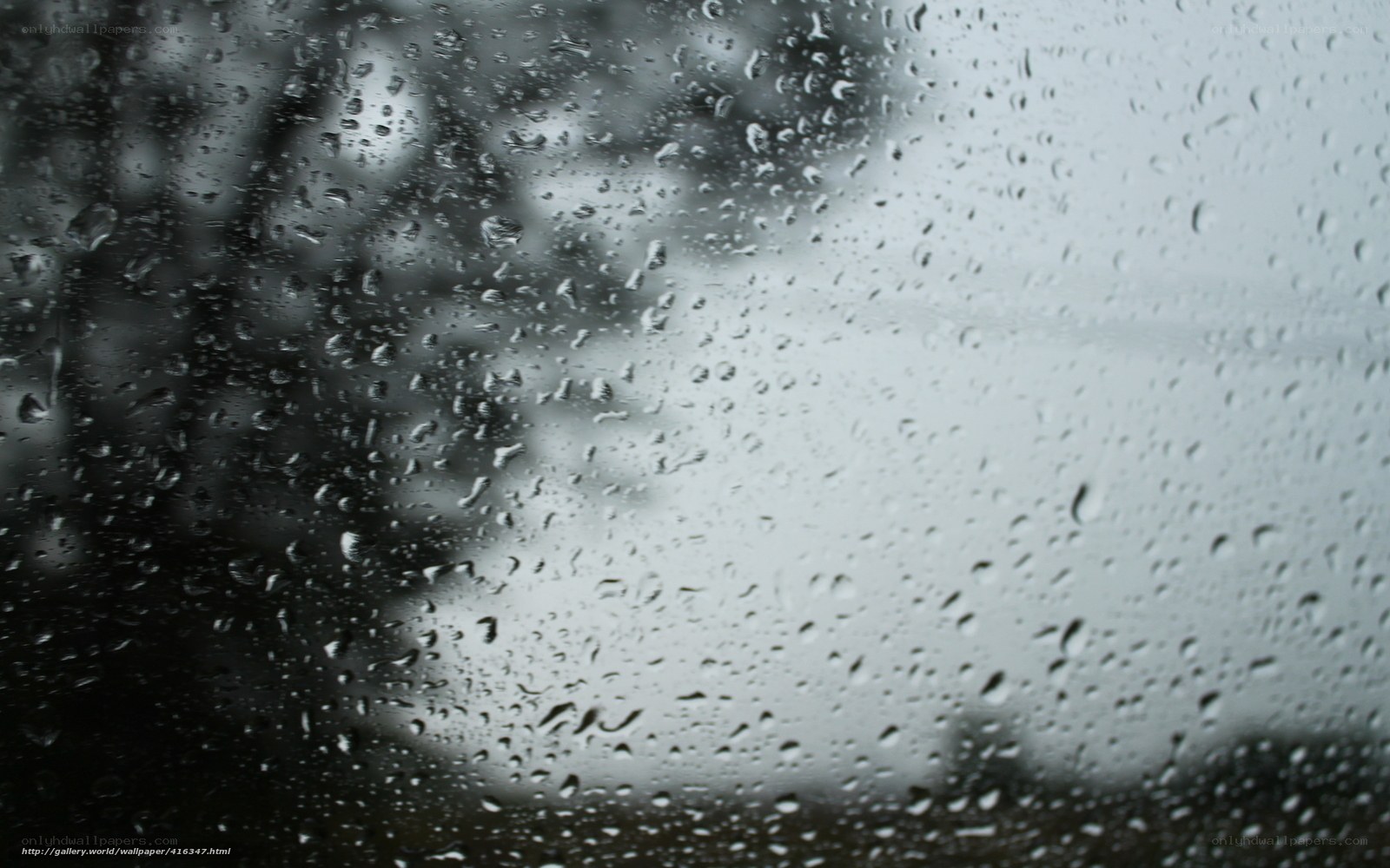 Raindrops on a window