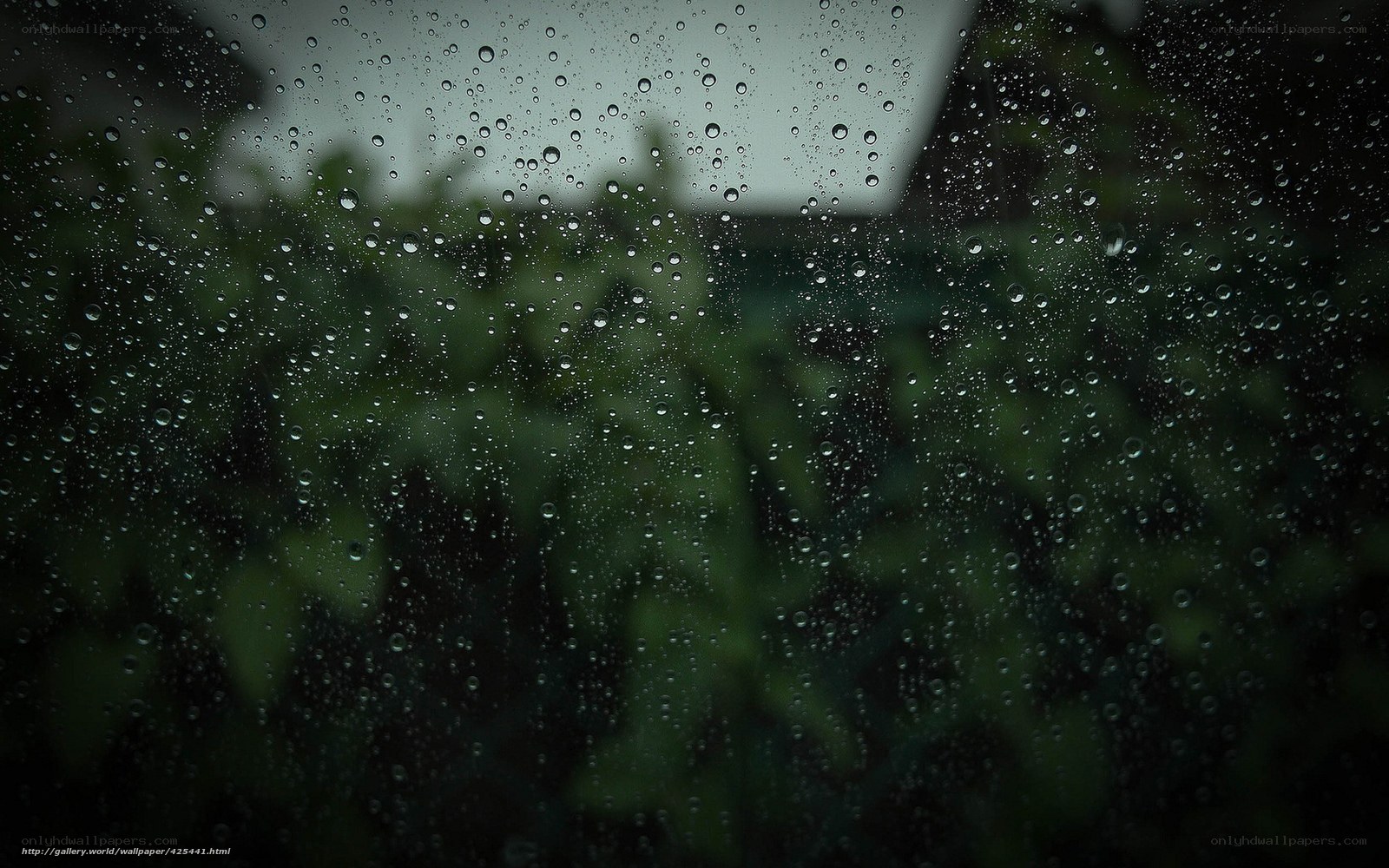 raindrops on a window