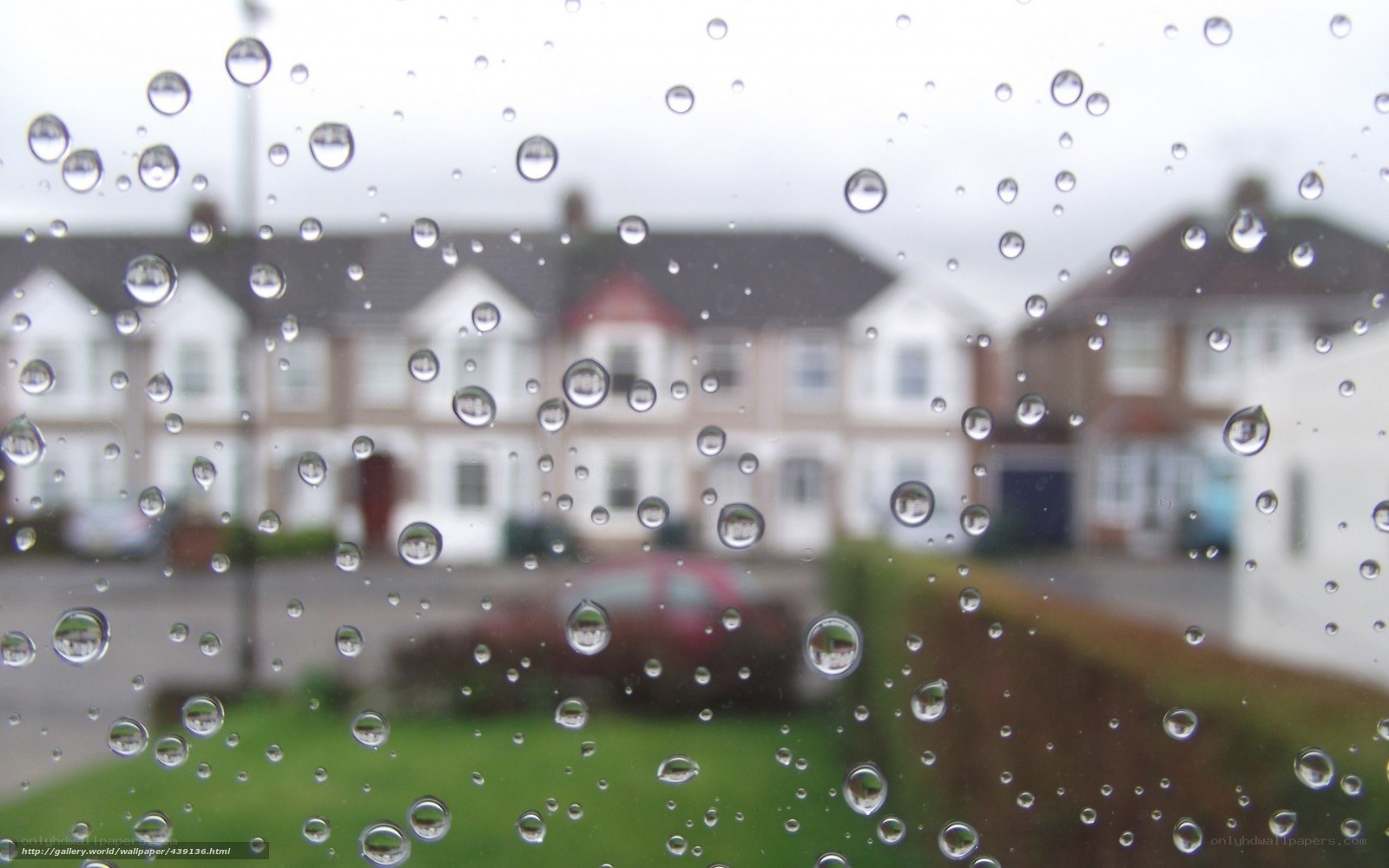 raindrops on a window