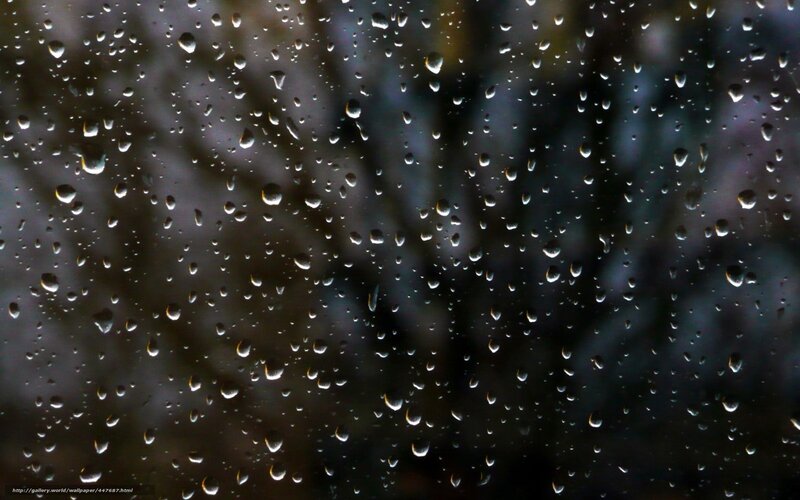 Raindrops on a window
