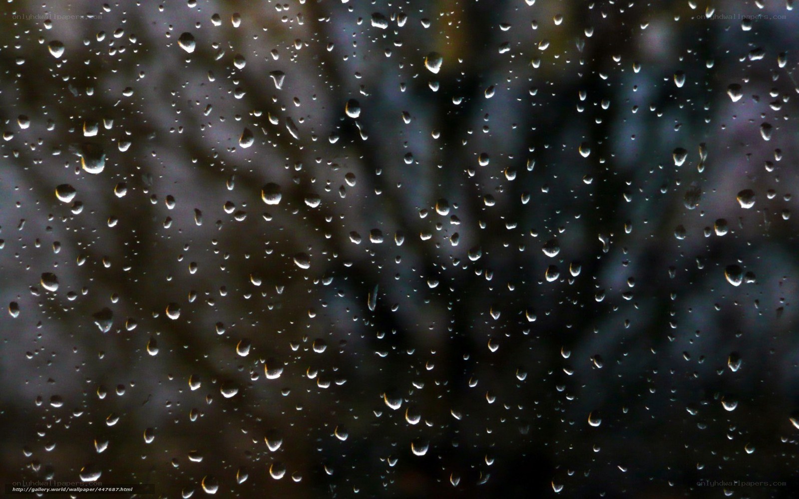 Raindrops on a window