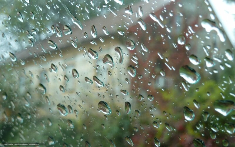 Raindrops on a window