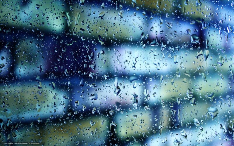 Raindrops on a window