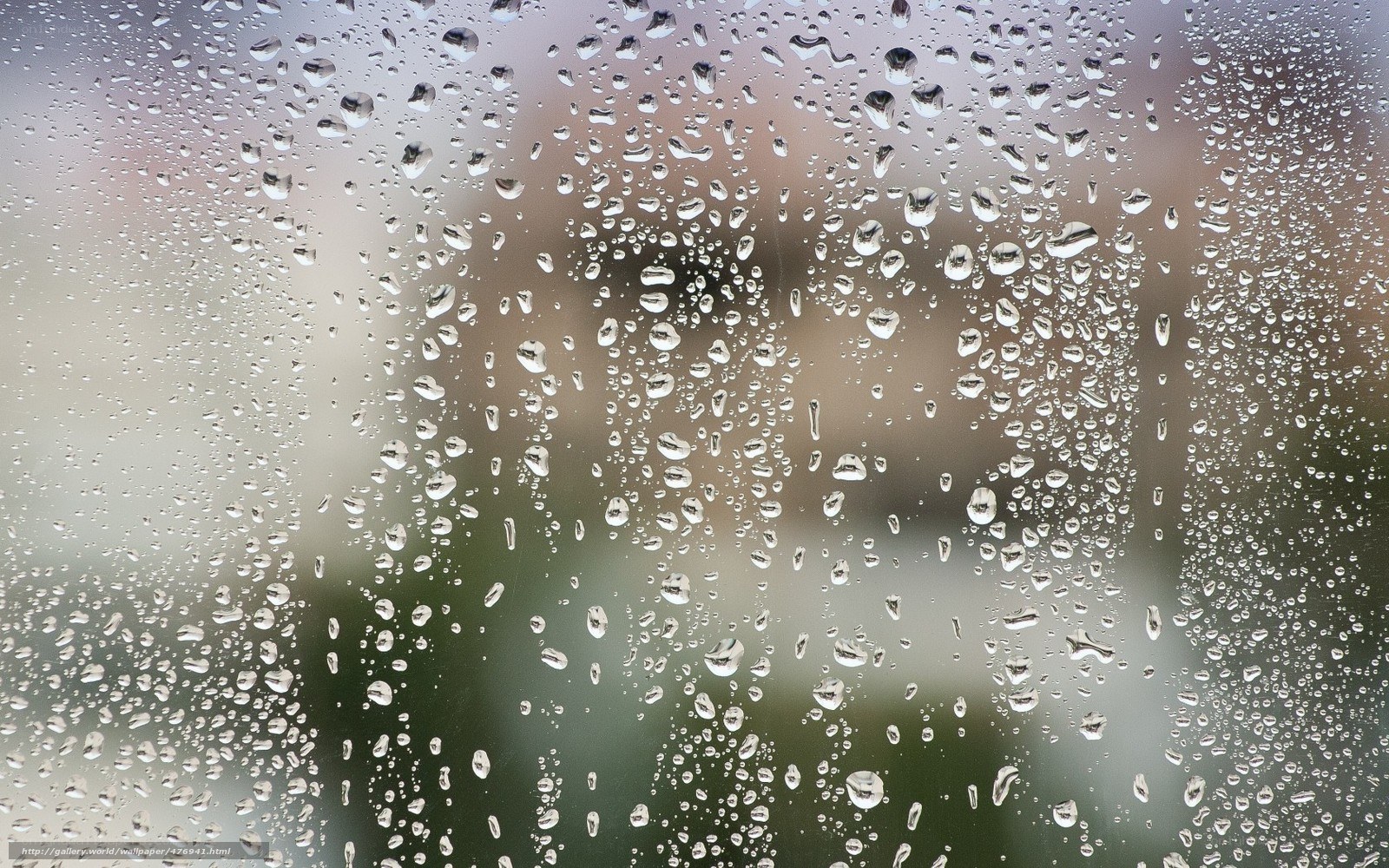 Raindrops on a window