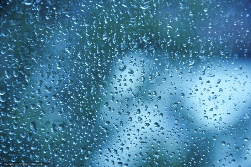 Raindrops on a window