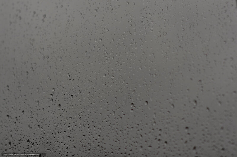 raindrops on a window