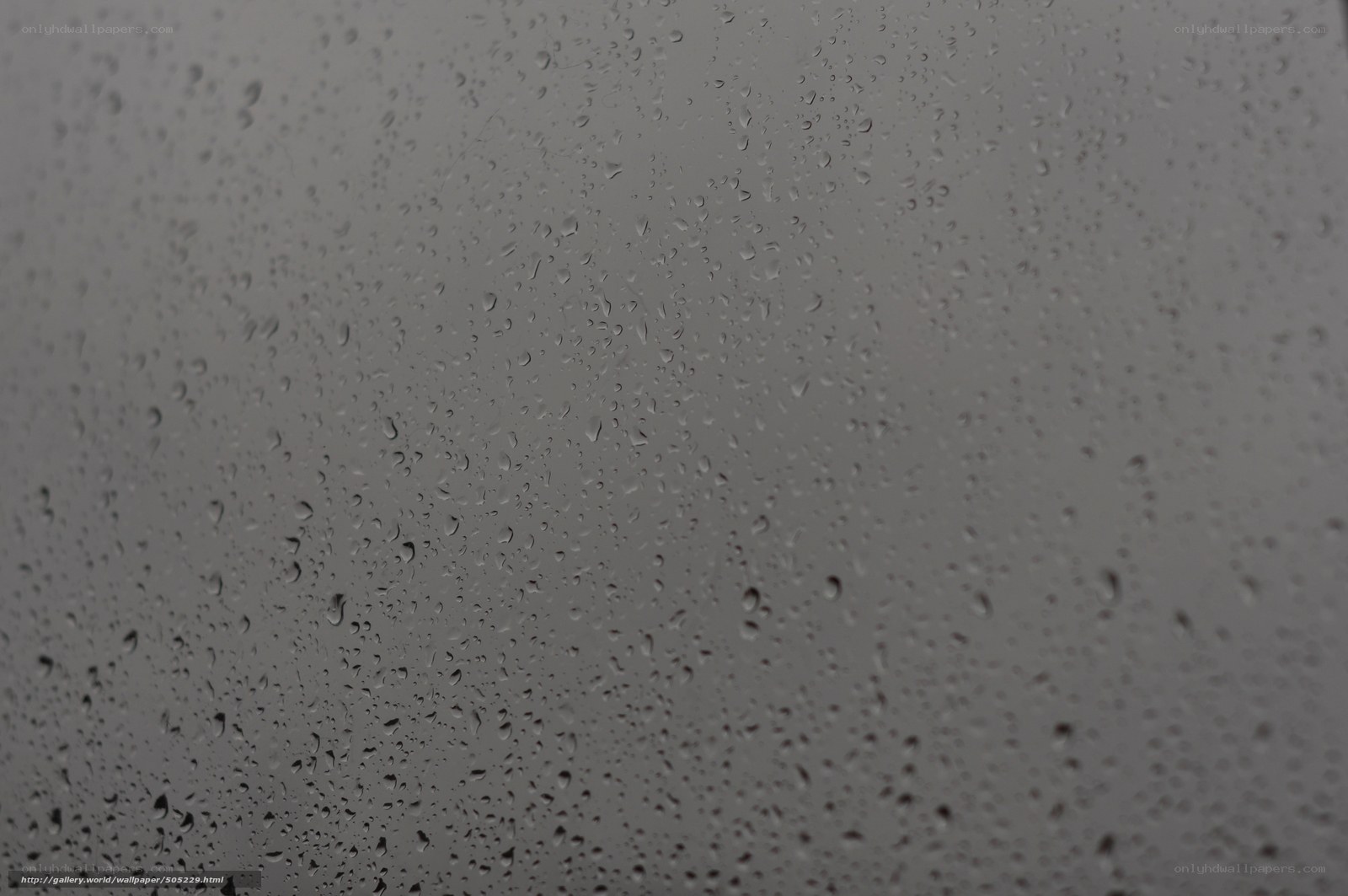 raindrops on a window