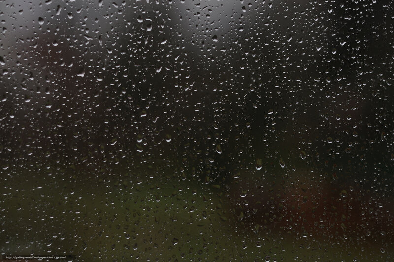 Raindrops on a window