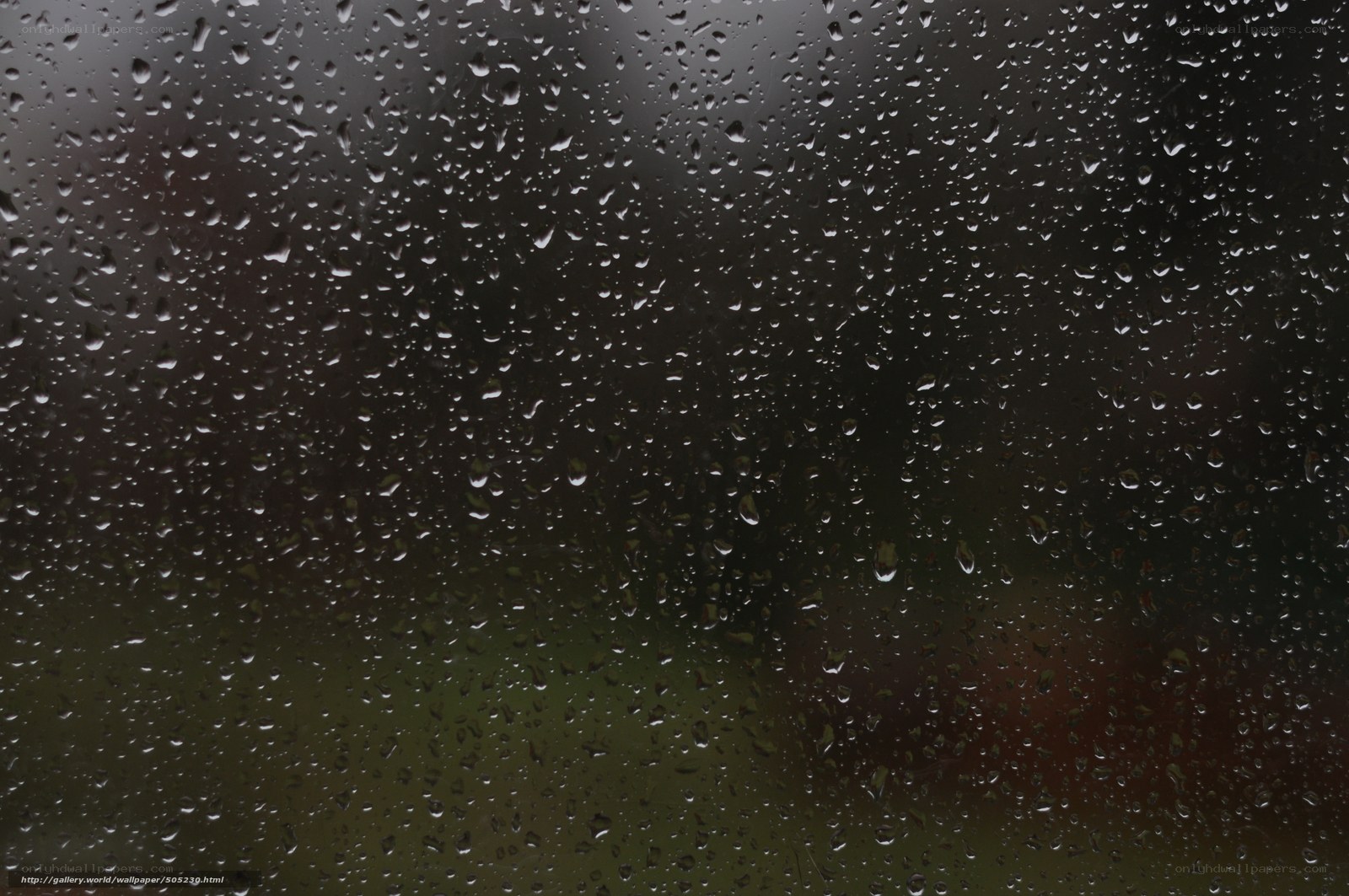 Raindrops on a window