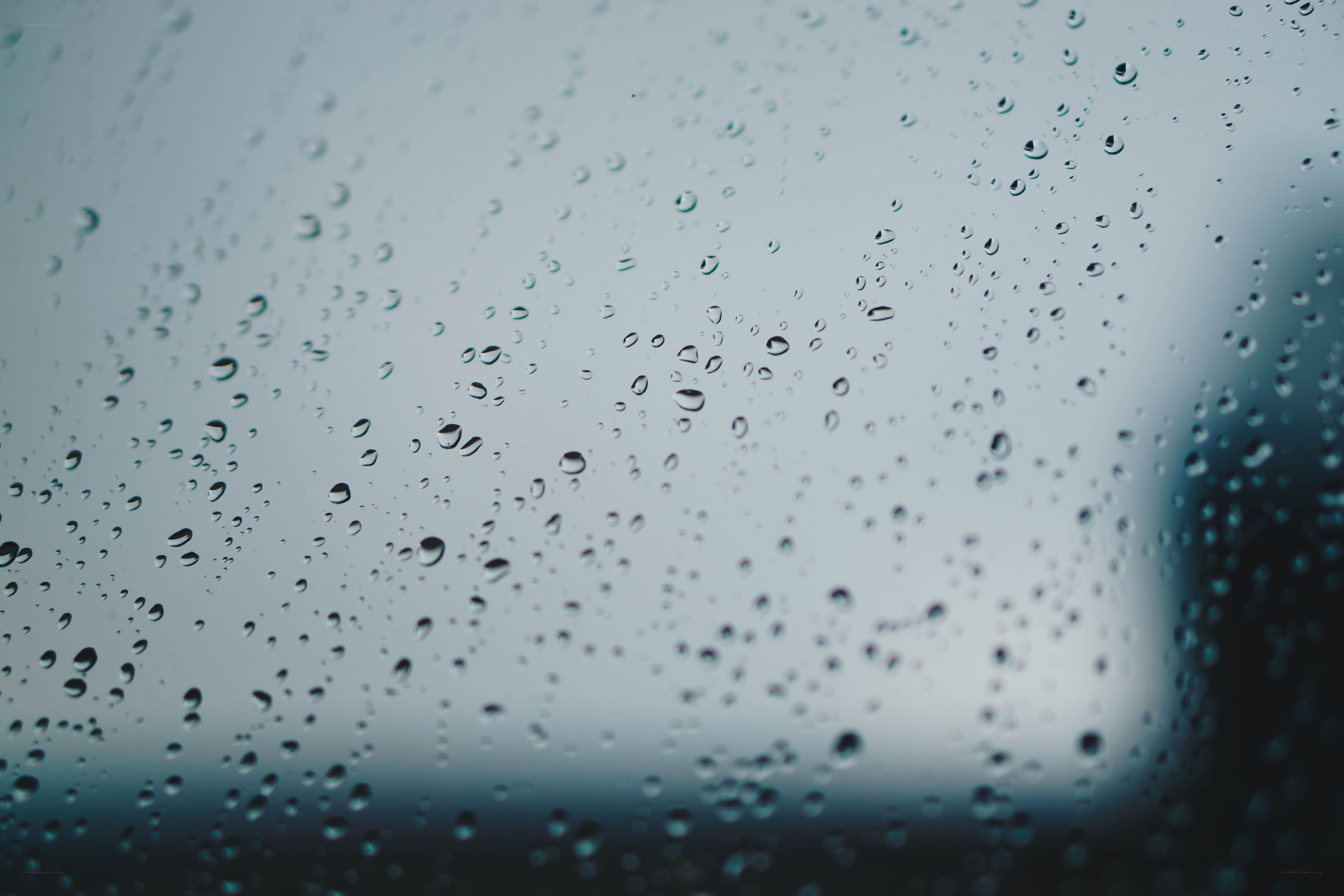raindrops on a window