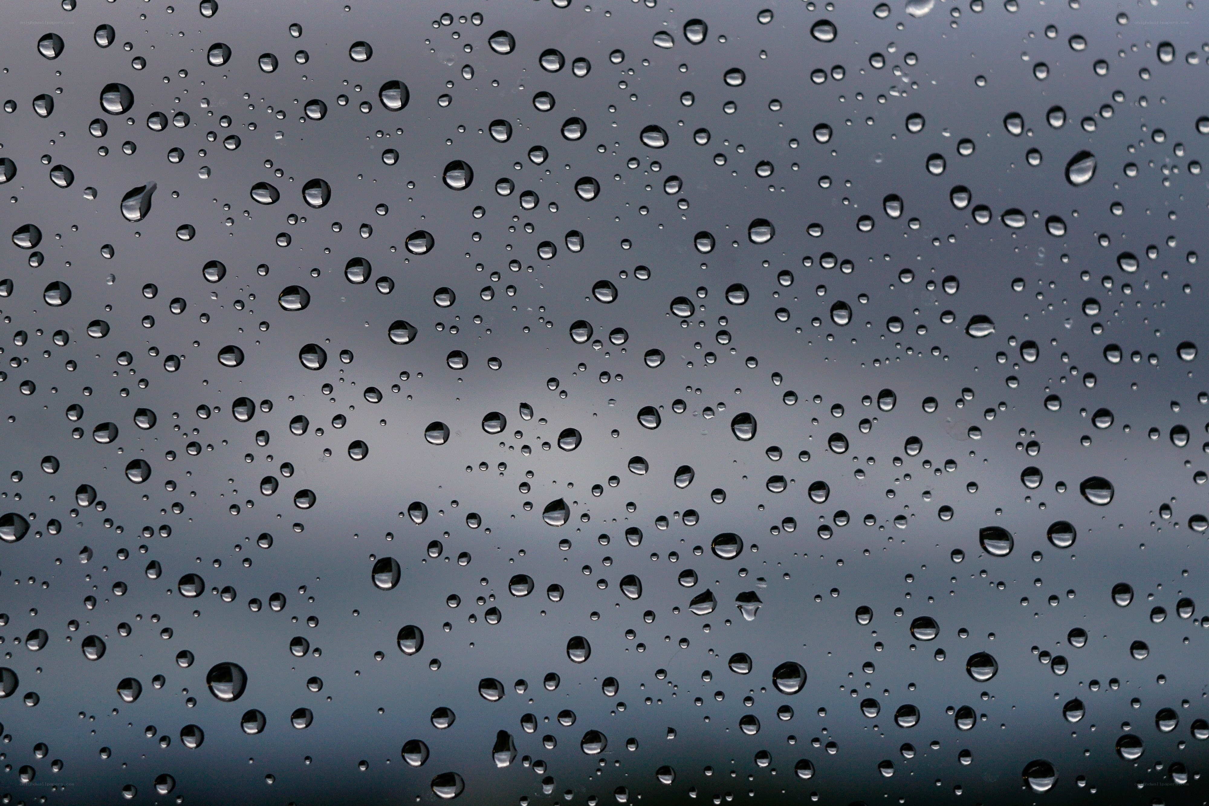 raindrops on a window