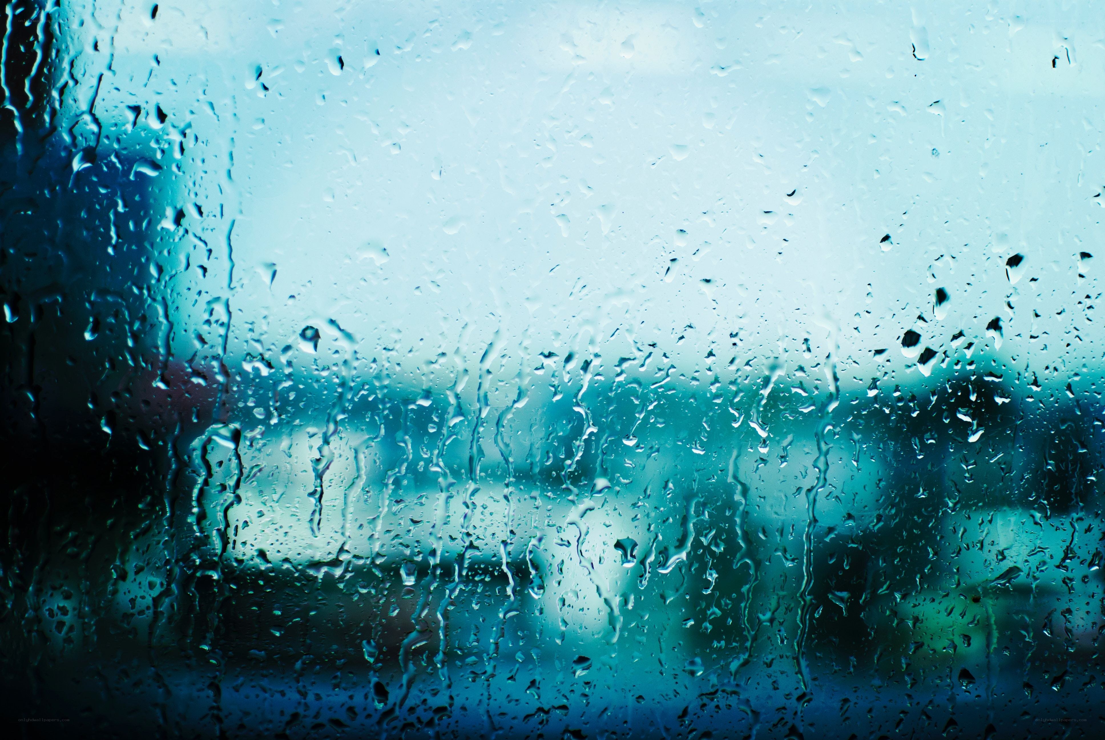 raindrops on a window
