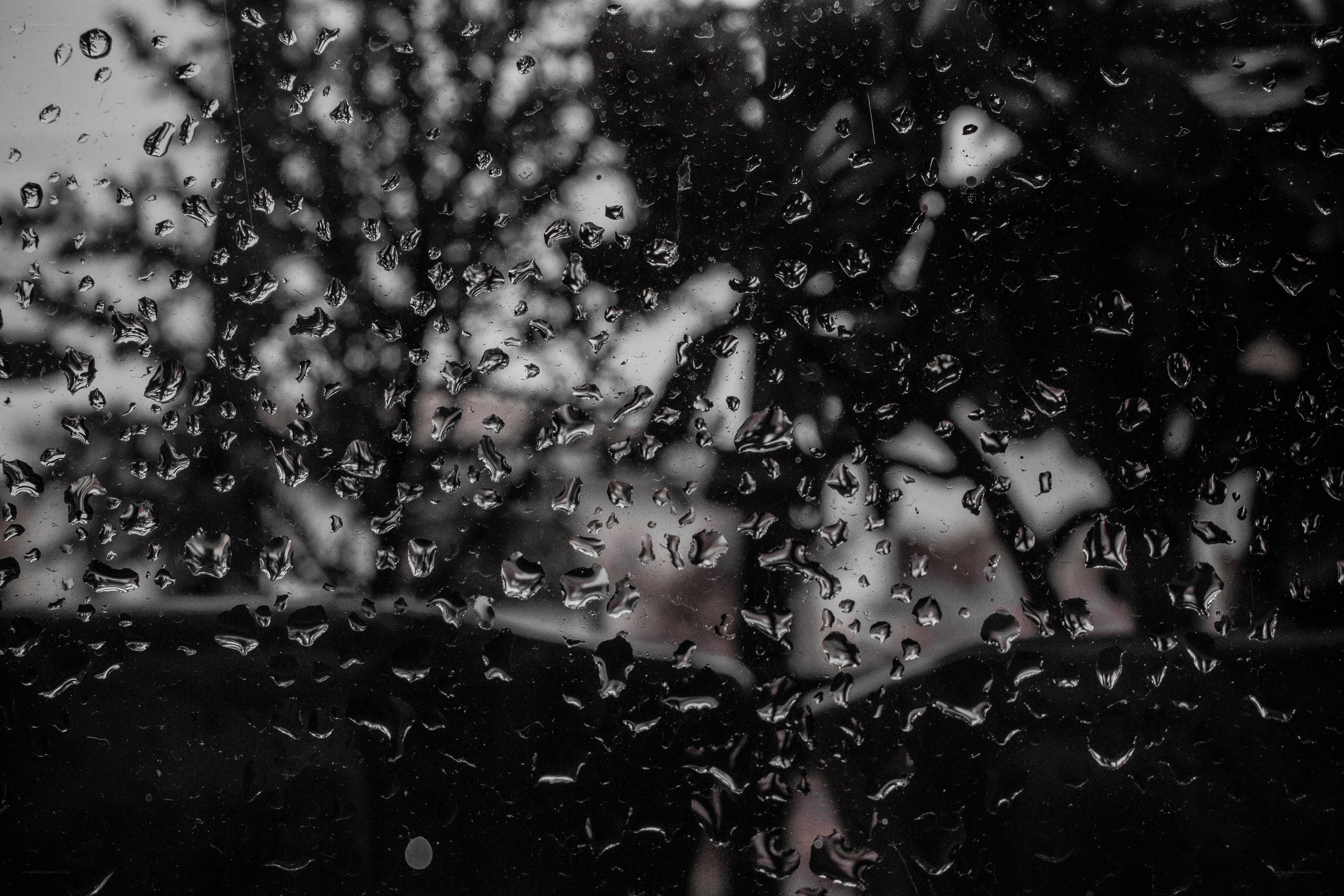 Raindrops on a window