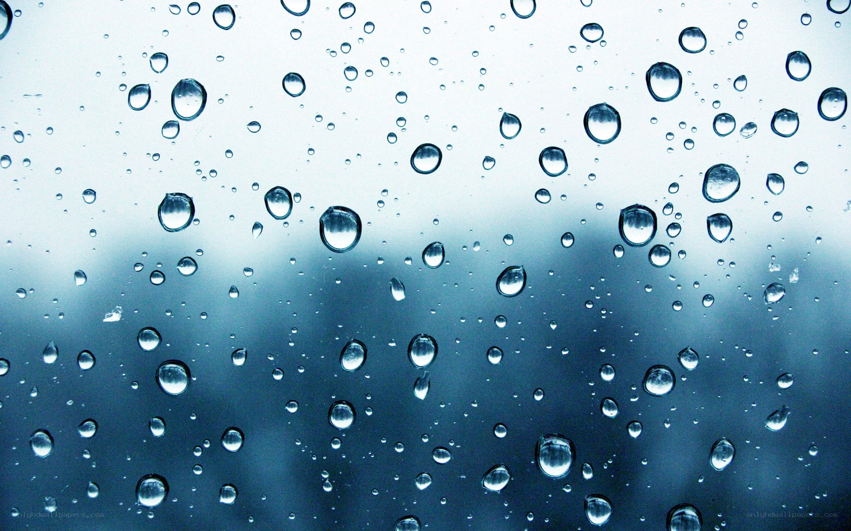 Raindrops on a window
