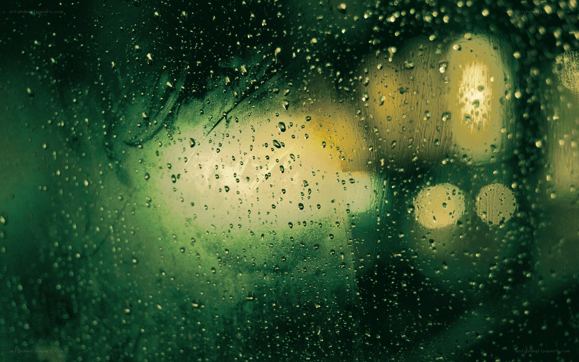 raindrops on a window at night