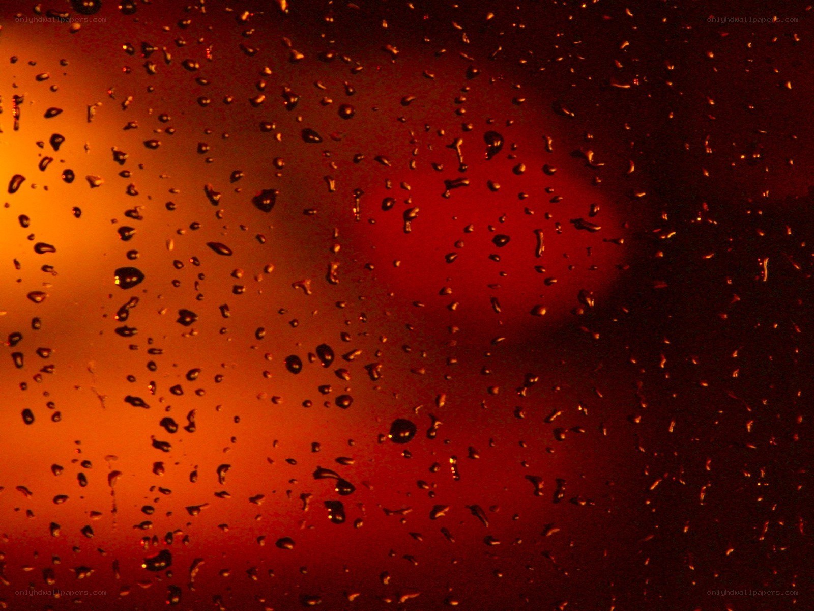 raindrops on a window at night