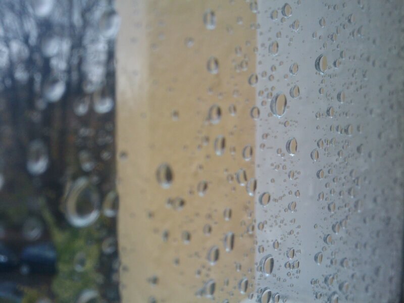Raindrops on a window pane