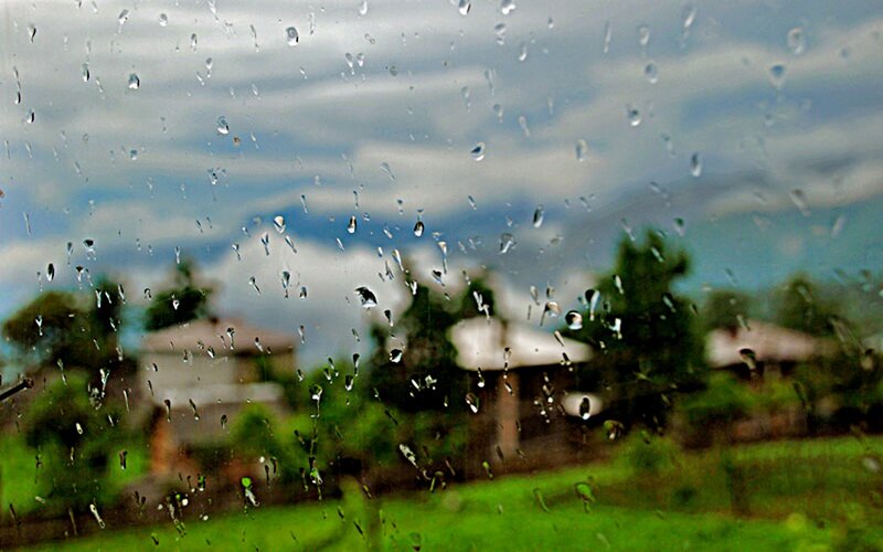 raindrops on a window pane