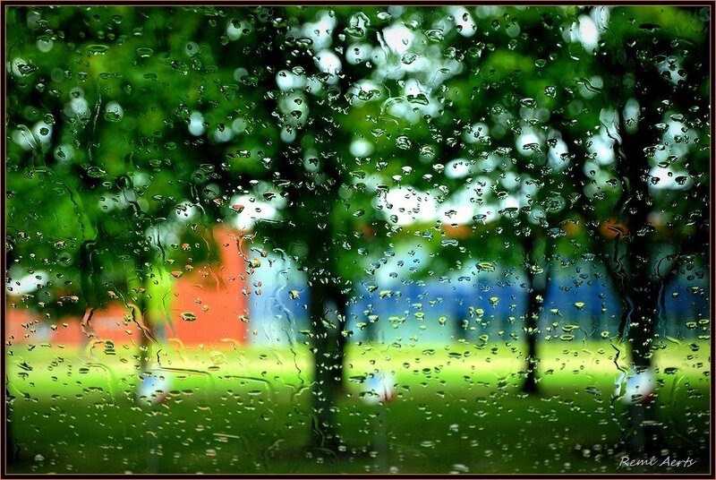 Raindrops on a window pane