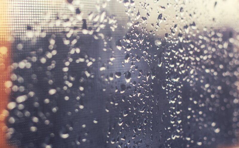 raindrops on a window screen