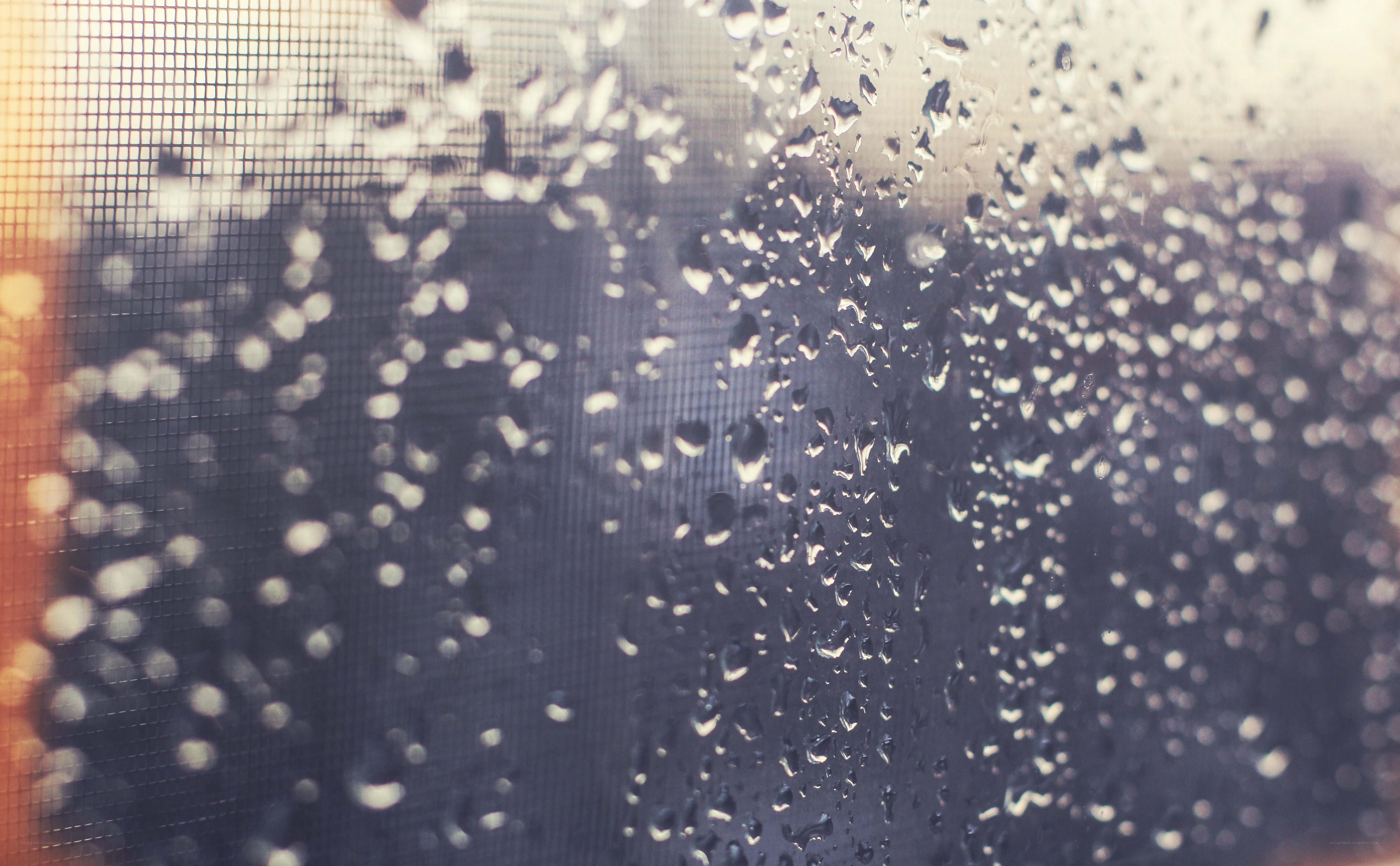 raindrops on a window screen