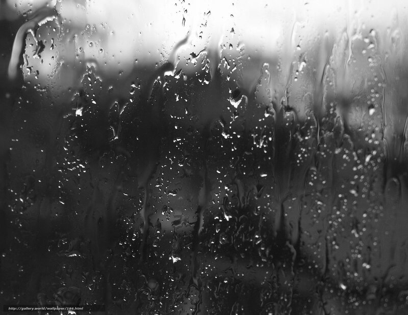 raindrops on a window