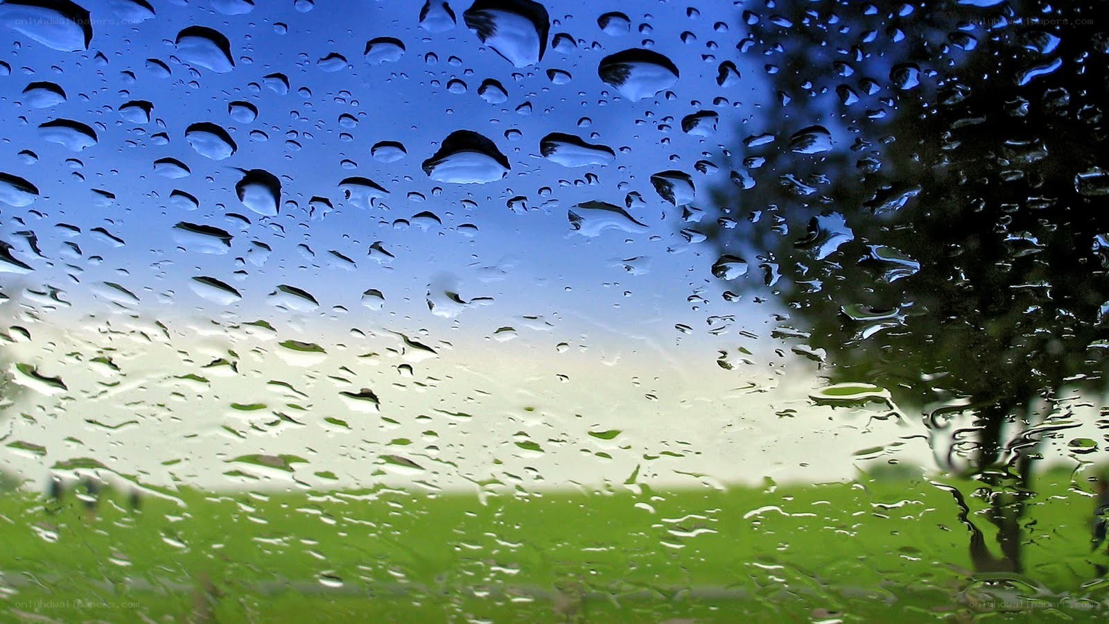 raindrops on a window view