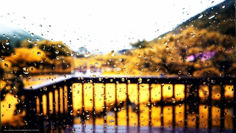 Raindrops on a window view