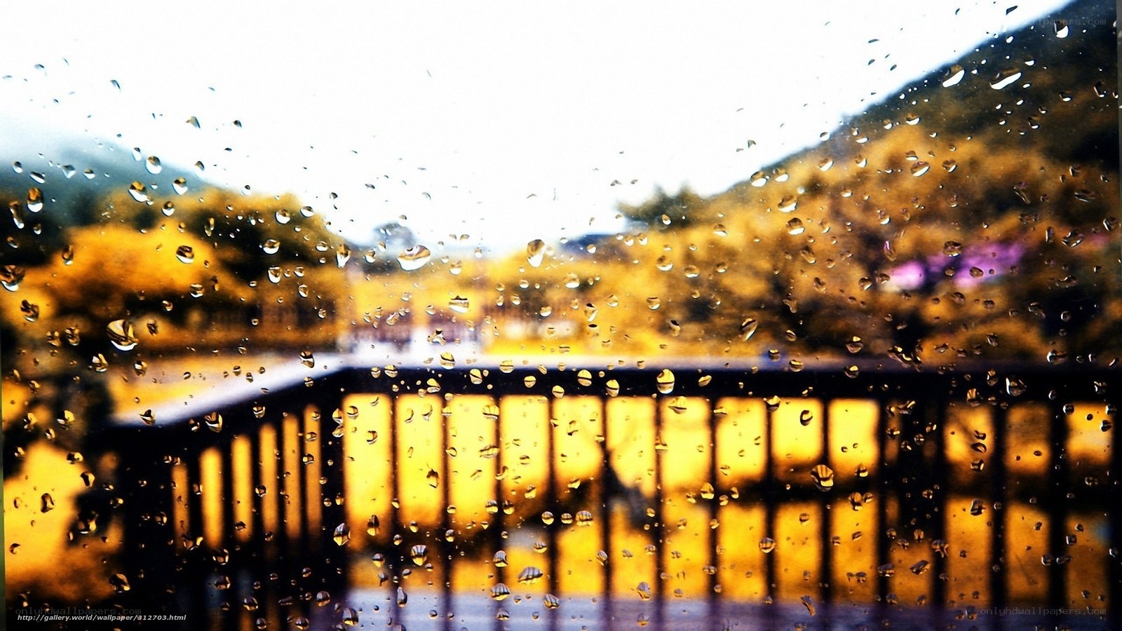 Raindrops on a window view