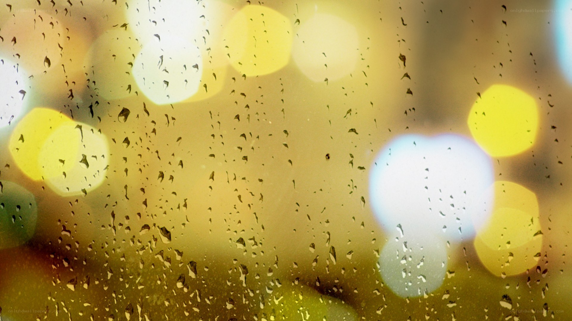 raindrops on a window with bokeh lights
