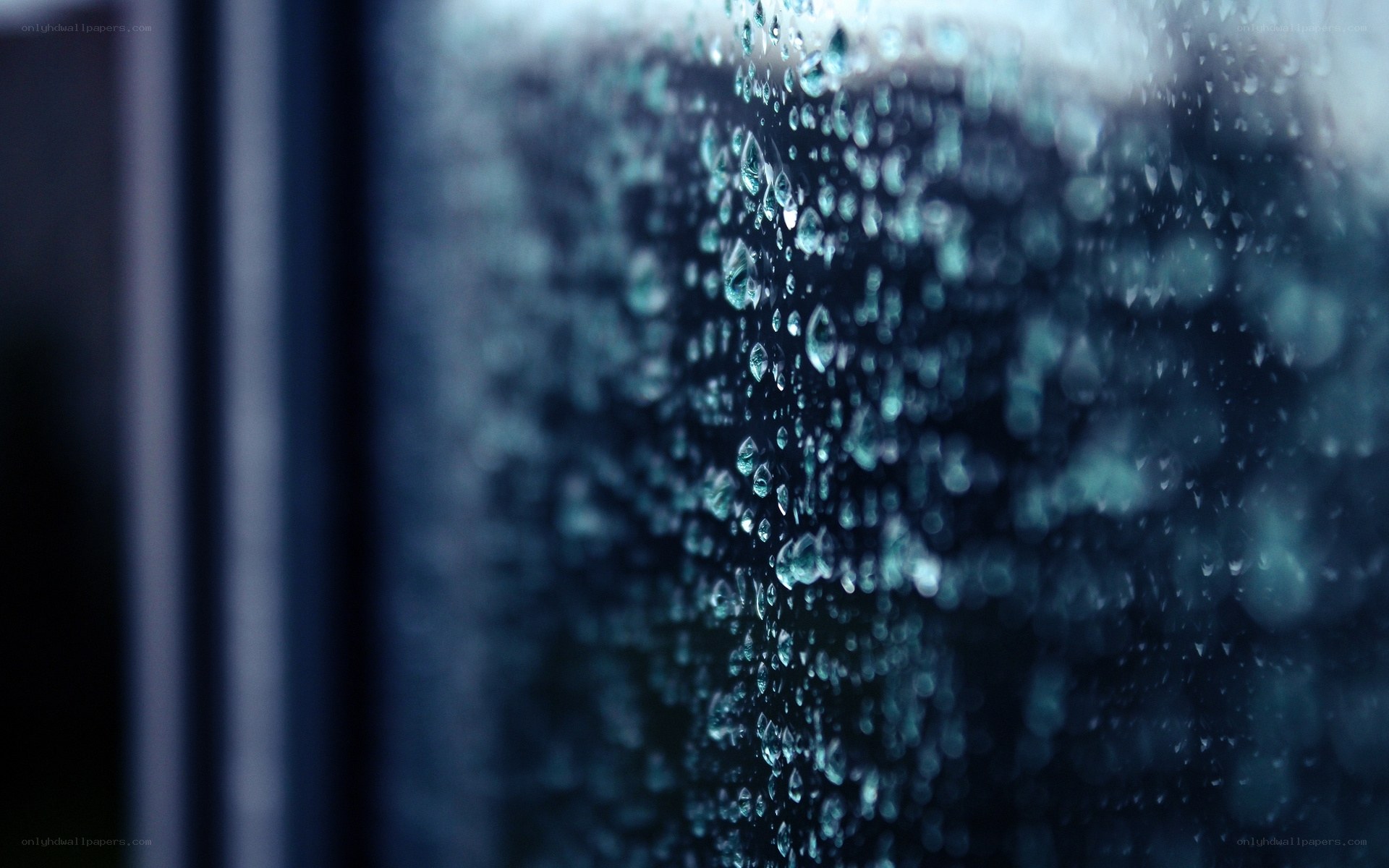 Raindrops on a windowpane