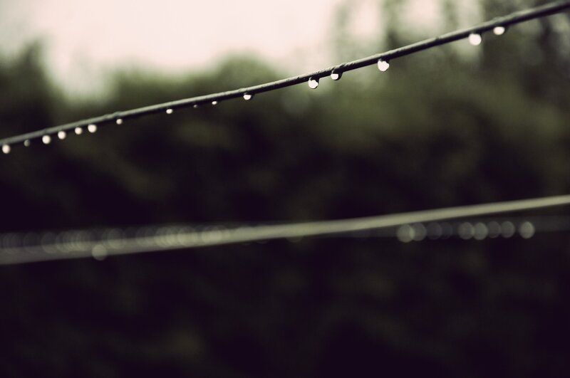 raindrops on a wire