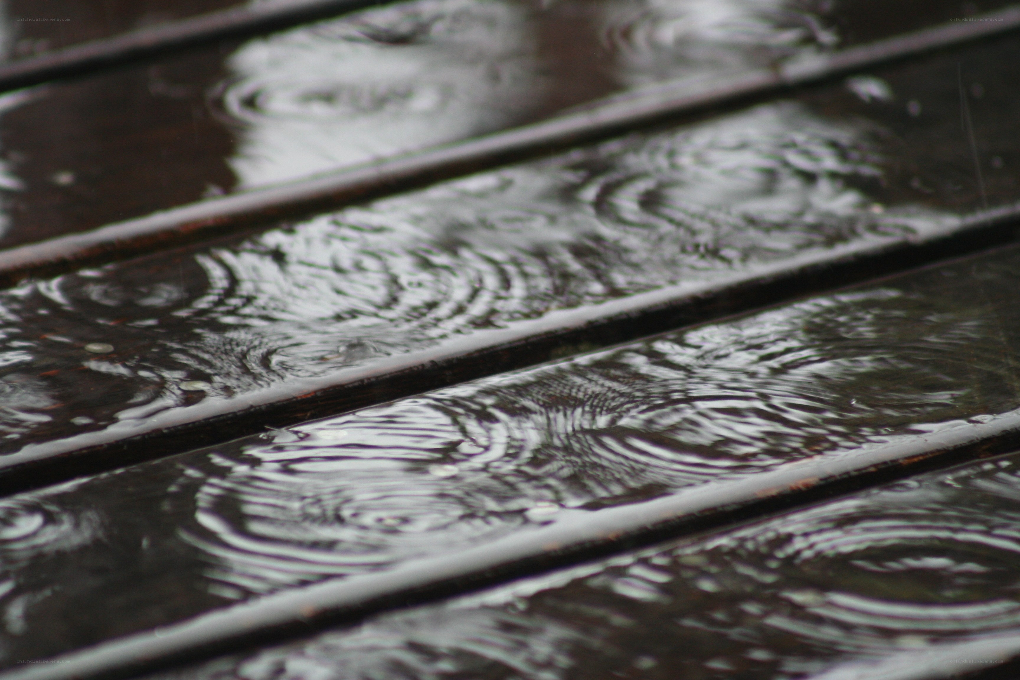 raindrops on a wooden deck