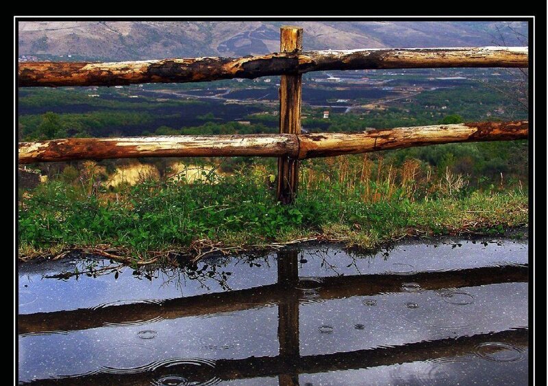 Raindrops on a wooden fence